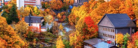 The best spots to see autumn leaves In Hokkaido - Japan Today