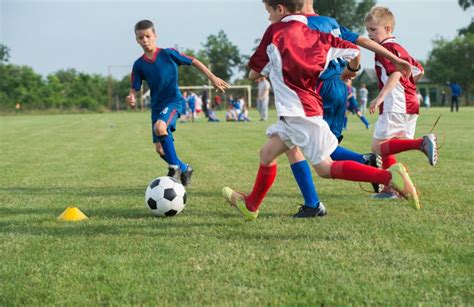 Consultoria Em Categorias De Base No Futebol De Campo