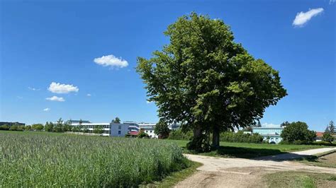 Aktuelle Nachrichten Aus Dem Landkreis M Nchen Merkur De