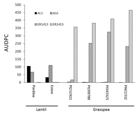 Area Under The Disease Progress Curve AUDPC For Two Lentil Cultivars