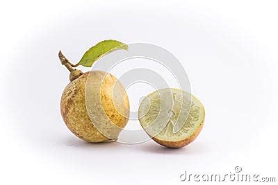 Citrus Tree Diseases, Lemon Stock Photo - Image: 65627650