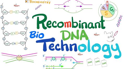 Recombinant Dna Technology Biotechnology Molecular Biology 🧬