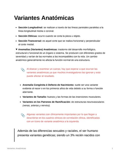 Las Posiciones Anat Micas B Sicas Del Paciente Encamado En Una