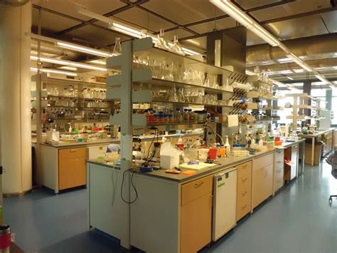 Lab Photos – The Hecht Lab 