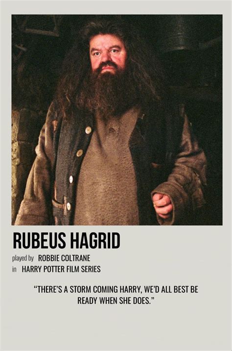 Rubeus Hagrid Harry Potter Movie Posters Harry Potter Film Harry