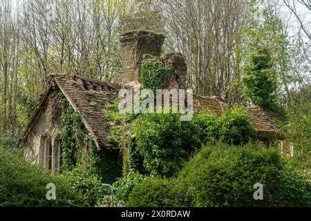 An Abandoned Country Cottage In The English Countryside With Overgrown
