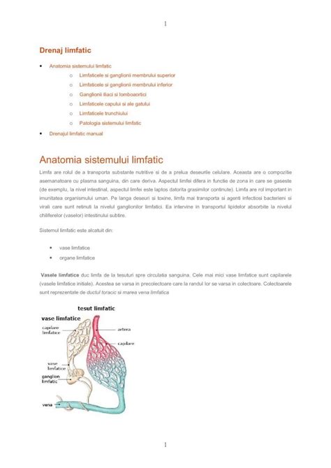 Pdf Drenaj Limfatic Dokumen Tips