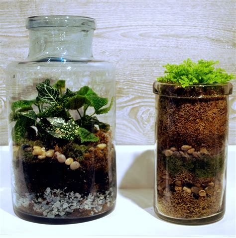 Hudson Tabletop Terrariums