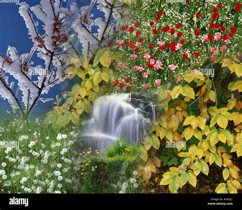 Digital Concept The Four Seasons Stock Photo Alamy