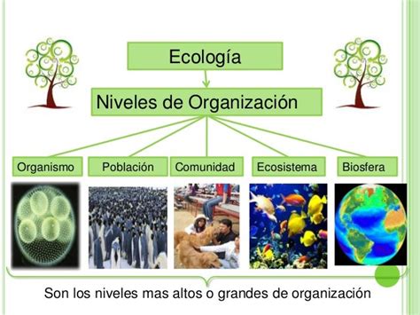 Ecología Y Generalidades Mind Map