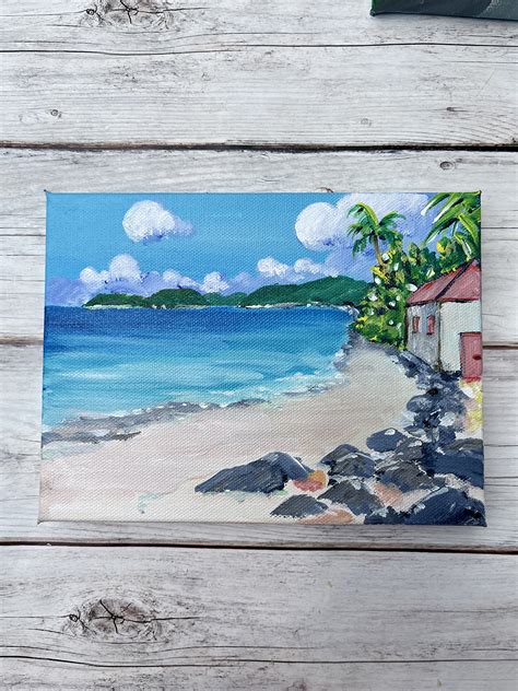 Cinnamon Bay St John Usvi Original Painting Hibiscus Jazz