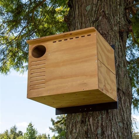 Owl Houses And Owl Boxes Owl Habitats For All Owl Species The