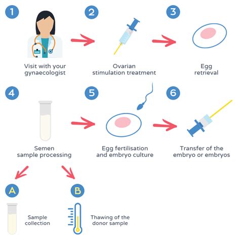 In Vitro Fertilisation | Dexeus Mujer