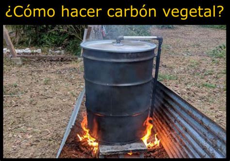 Carbón vegetal propiedades Características y Usos