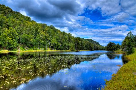 Summer On Bald Mountain Pond Photograph By David Patterson Fine Art