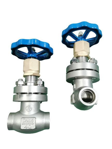 Dn Pn Cryogenic Globe Valve With Socket Weld Ends