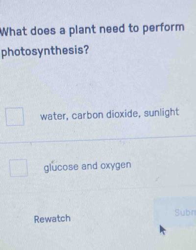 Solved What Does A Plant Need To Perform Photosynthesis Water Carbon