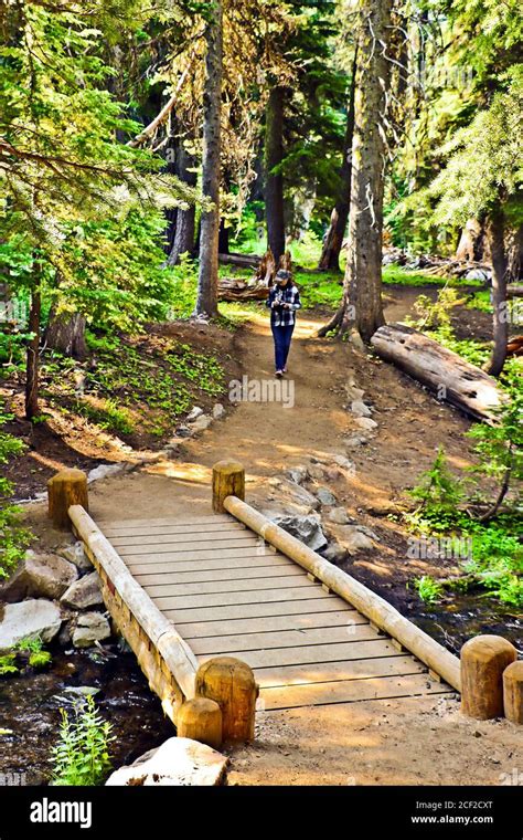 Castle Crest Wildflower Trail In Crater Lake National Park Oregon U