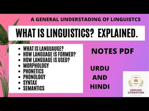 What Is Linguistics Types Branches Scope Importance Explained