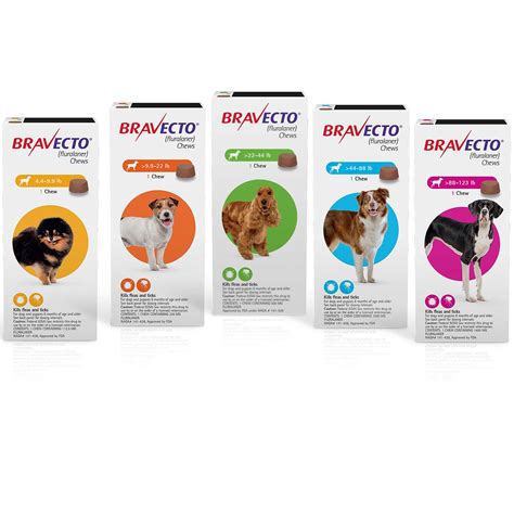 Best Flea Medicine For Dogs - How To Make The Right Choice