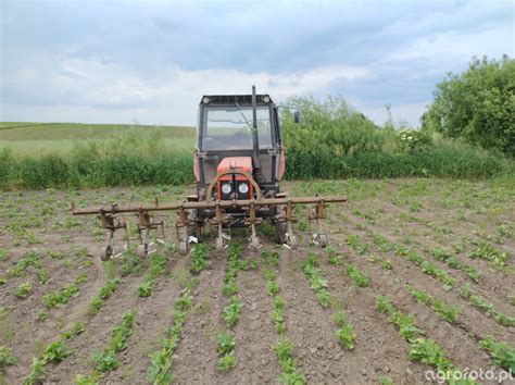 Fotografia Traktor Zetor I Wielorak Na Przedni Tuz