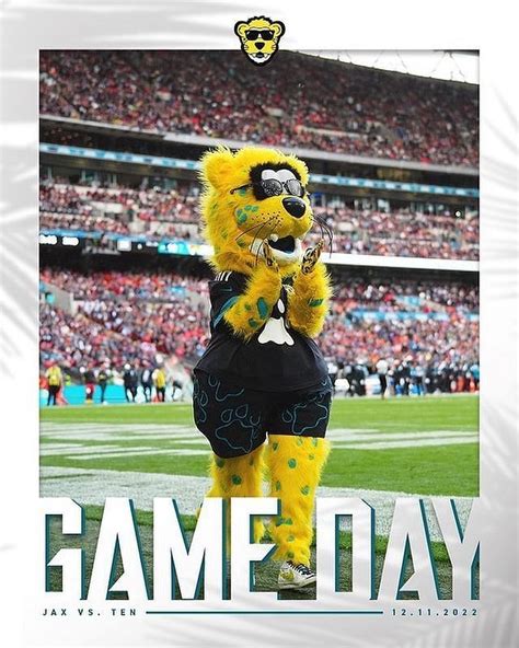 Why is The Jacksonville Jaguars Mascot a Jaguar?