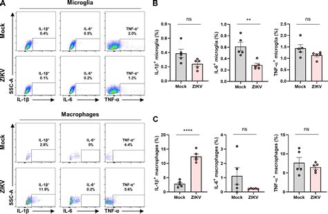 Zika Virus Infection Induces Interleukin 1β Mediated Inflammatory