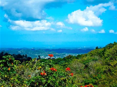 17 Best images about COROZAL, PUERTO RICO on Pinterest | Tes, Stand in ...