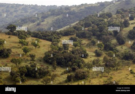 Southern Akagera National Game Park Rwanda Central Africa Landscape