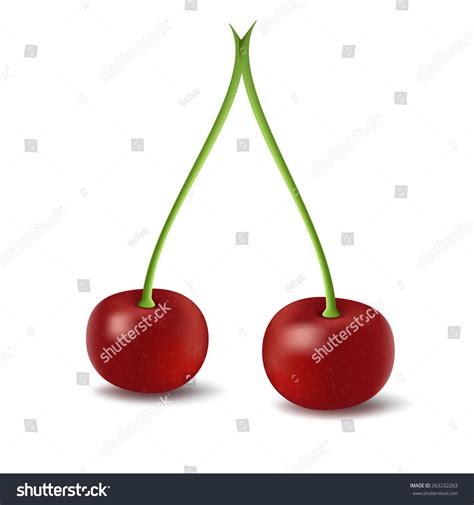 Red Cherry Berries Vector Illustration Stock Vector Royalty Free