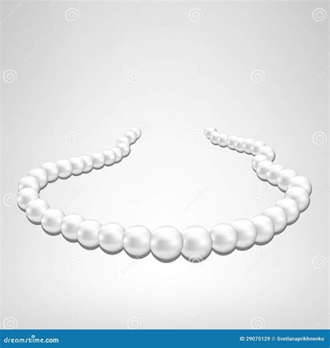 Pearl Necklace Stock Vector Illustration Of Necklace 29075129