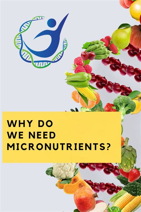 Why Do We Need Micronutrients Micronutrients We Need Usana