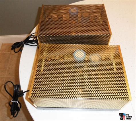 Quicksilver 8417 Mono Block Amps With Brass Cages Price Reduced Photo