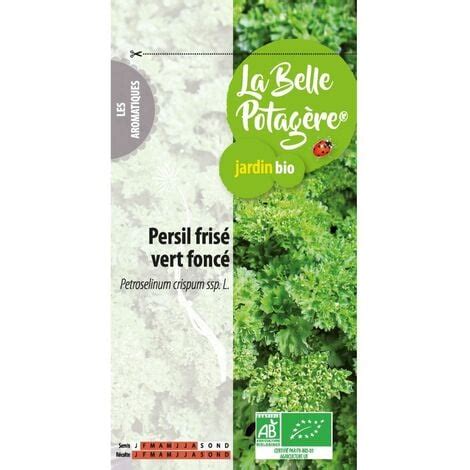 Persil frisé vert foncé 2 g