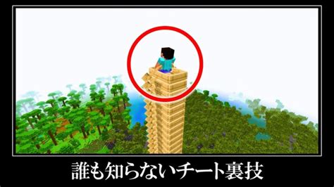 絶対にやってはいけない統合版のチート裏技＆小ネタ8選 Minecraft Summary マイクラ動画