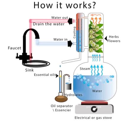 How To Make Your Own Essential Oils At Home Step By Step Guide In