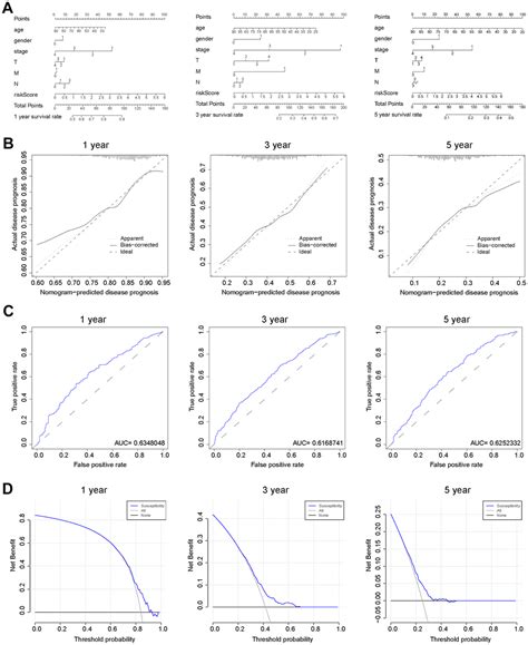 A Novel Signature Based On Cancer Associated Fibroblast Genes To