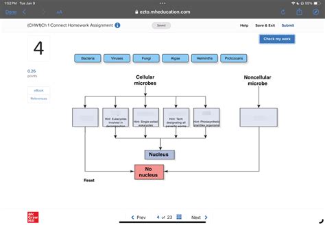 Cellular Vs Noncellular Microbes Diagram Quizlet