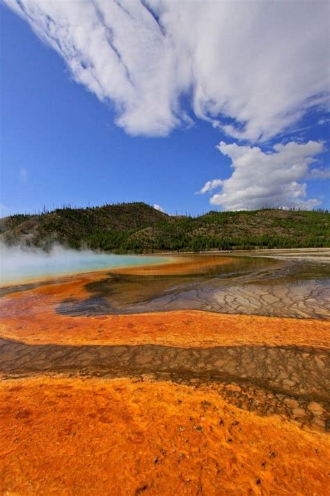 Grand Prismatic Pool National Parks Usa National Parks Yellowstone