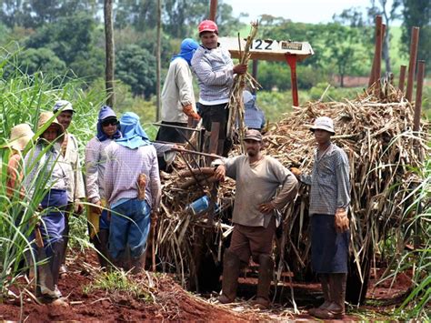 Sugarcane Harvesting System – Mike Eng