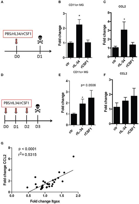 Frontiers Csf R Stimulation Promotes Increased Neuroprotection By