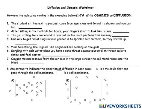 Diffusion And Osmosis Worksheet Worksheet For Education