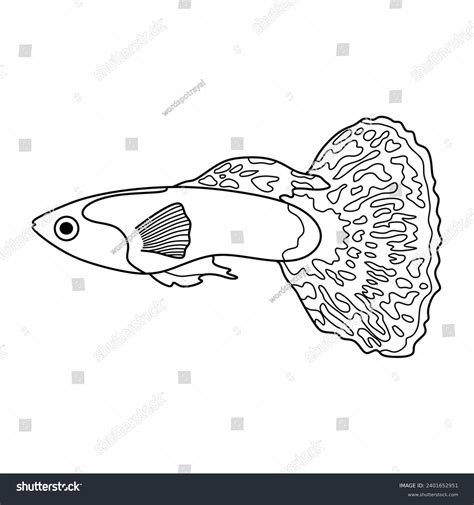 Hand Drawn Cartoon Vector Illustration Guppy Royalty Free Stock