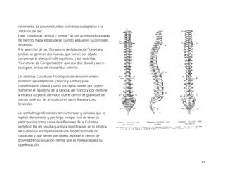 Unidad Columna Vertebral Y Torax Complementario Pdf