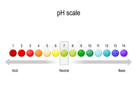 Ph Value Scale. Acid-base Balance Stock Vector - Illustration of level, liquid: 153496691