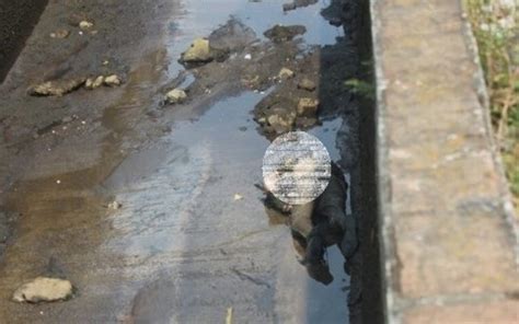 Aparece Cuerpo Flotando En Canal De Aguas Negras De Orizaba En