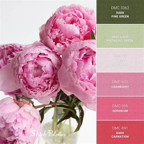 Pink Peonies In Color Palette Pink Pink Palette Peony Colors