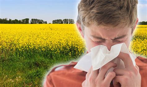 Hayfever Worst Day Pollen Allergy Symptoms On Friday How To Treat Hay Fever Uk