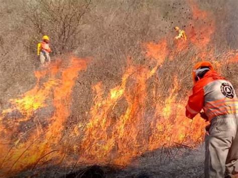 Chiapas Es Tercer Lugar Nacional En Incendios Forestales