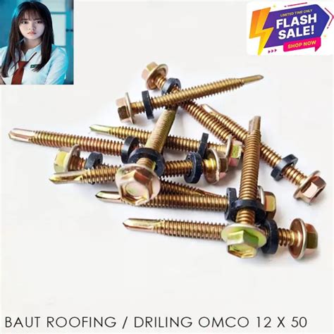 Pcs Baut Baja Ringan Roofing Drilling X Panjang Cm Isi Pcs